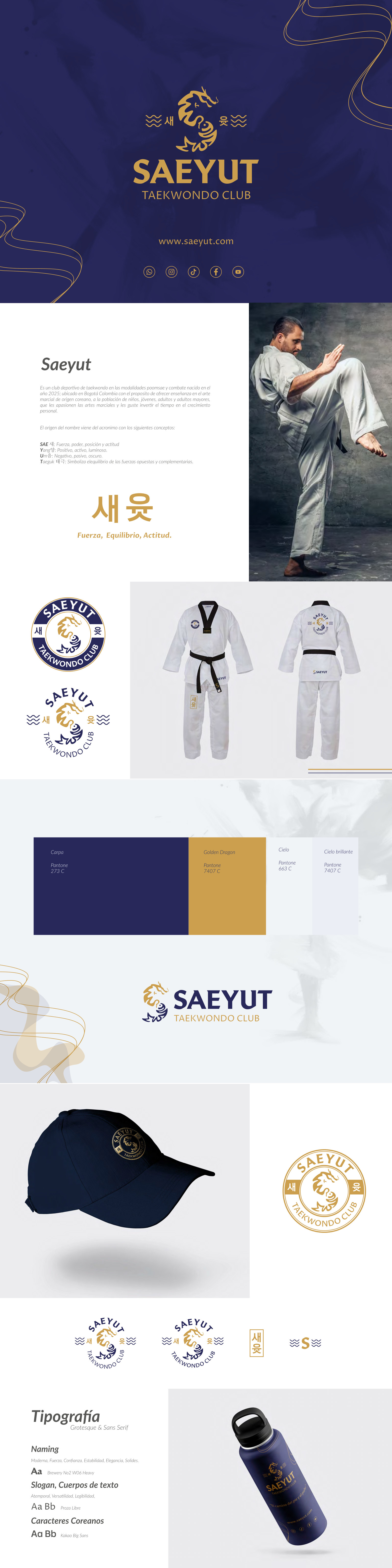 Diseño de identidad visual y aplicaciones de Saeyut