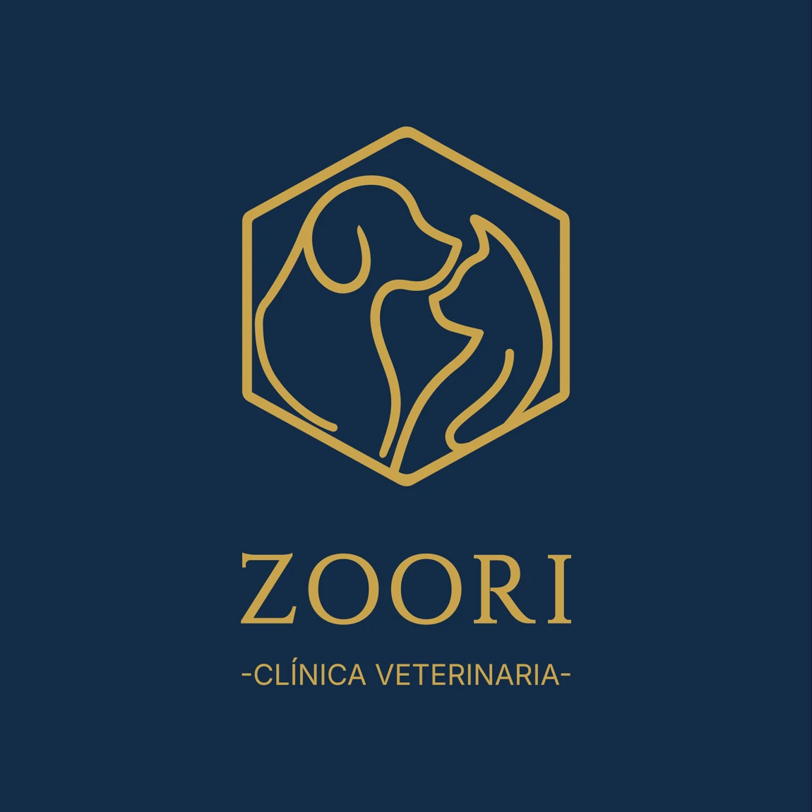 Logotipo original de ZOORI, clínica veterinaria, en dorado sobre azul